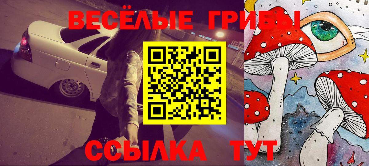 Галлюциногенные грибы ЛСД  Вход с VPN  Фролово  Галлюциногенные грибы MAGIC MUSHROOMS 