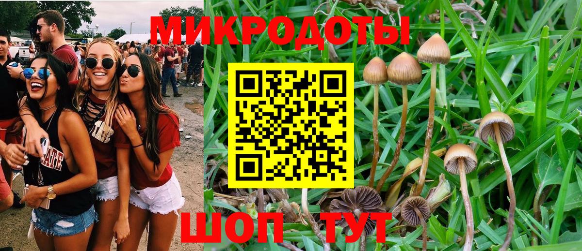 Галлюциногенные грибы Psilocybine cubensis Фролово